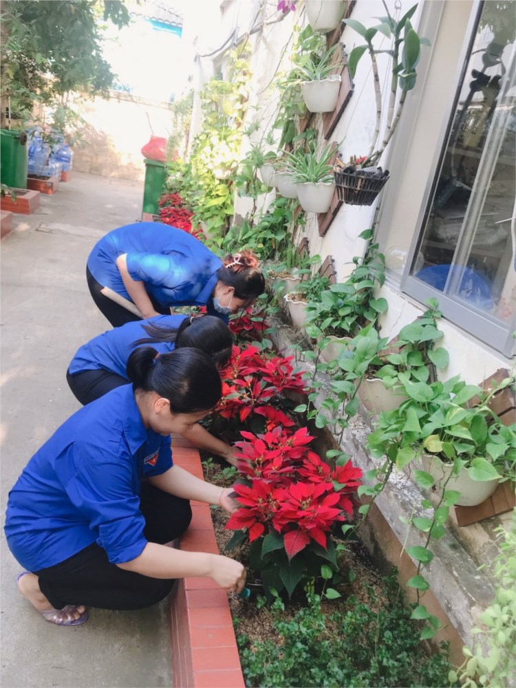 Ảnh đại diện